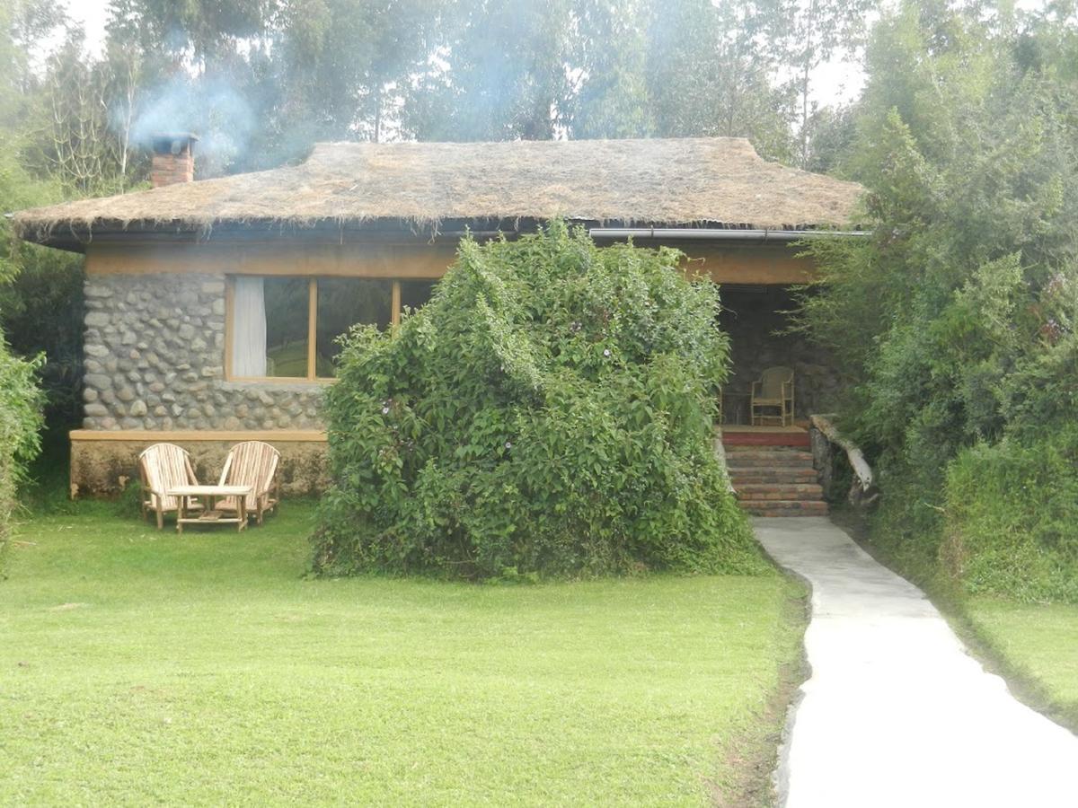 Mountain Gorilla View Lodge Musanze Экстерьер фото